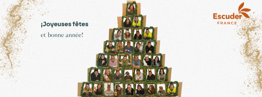 🎄 Jours fériés Noël 2025/2026 🎄